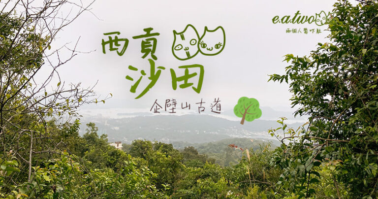 西貢行到沙田！白沙灣出發穿梭企壁山古道 麥理浩徑接長城古道徒步黃泥頭小瀝源