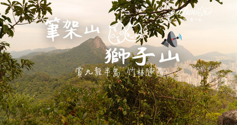 龍翔道輕鬆登筆架山雷達站賞九龍半島 探索隱藏版竹林隧道 經麥理浩徑直通獅子山