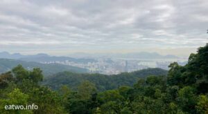景觀 荃灣路線 麥理浩徑第9段 楓葉預告 荃錦營地 大欖郊野公園 石龍拱 蓮花山