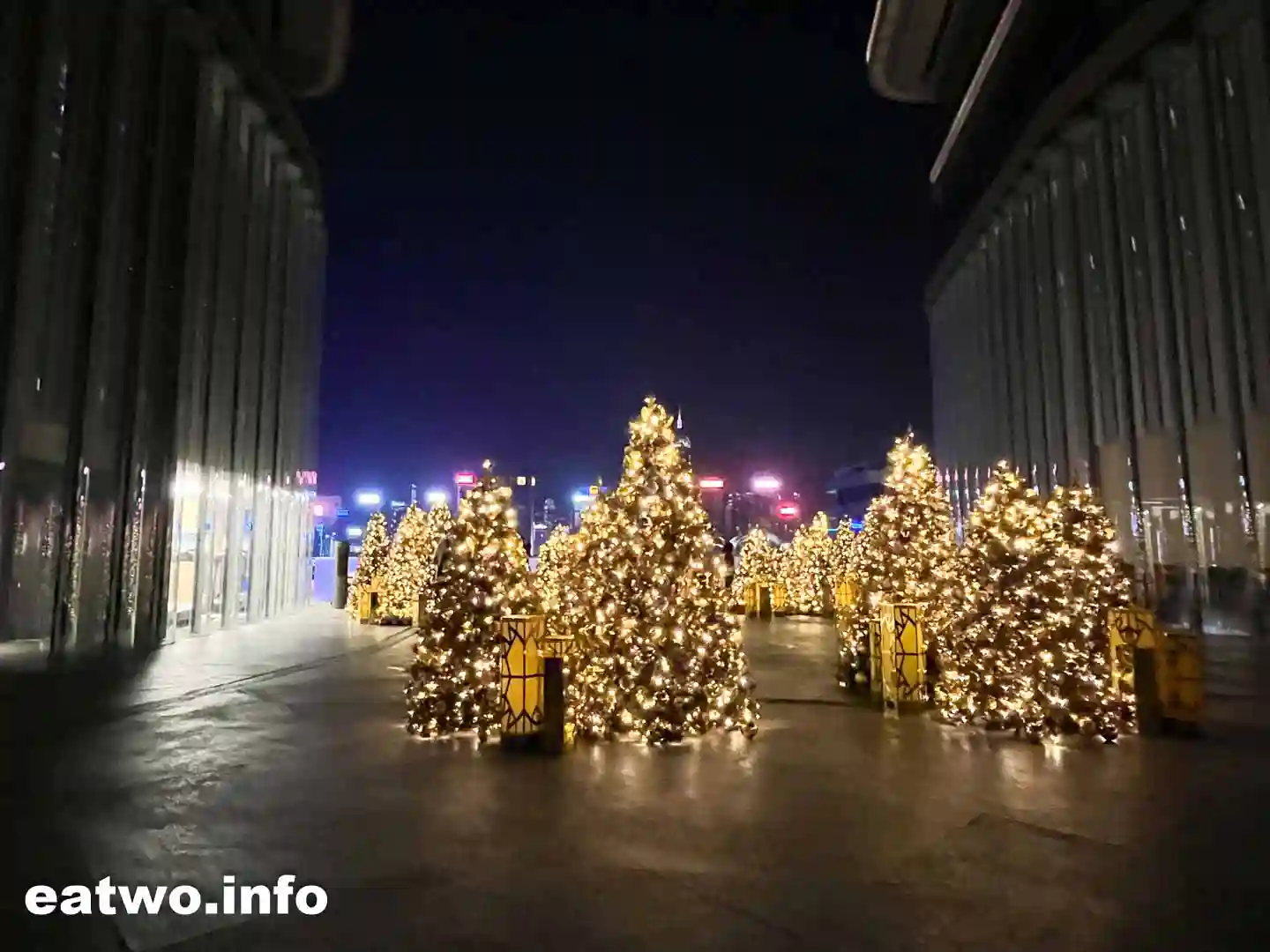 【聖誕好去處2023】K11 MUSEA驚喜黃金宮殿聯乘Dior！維港畔金黃聖誕樹簡約中顯高貴